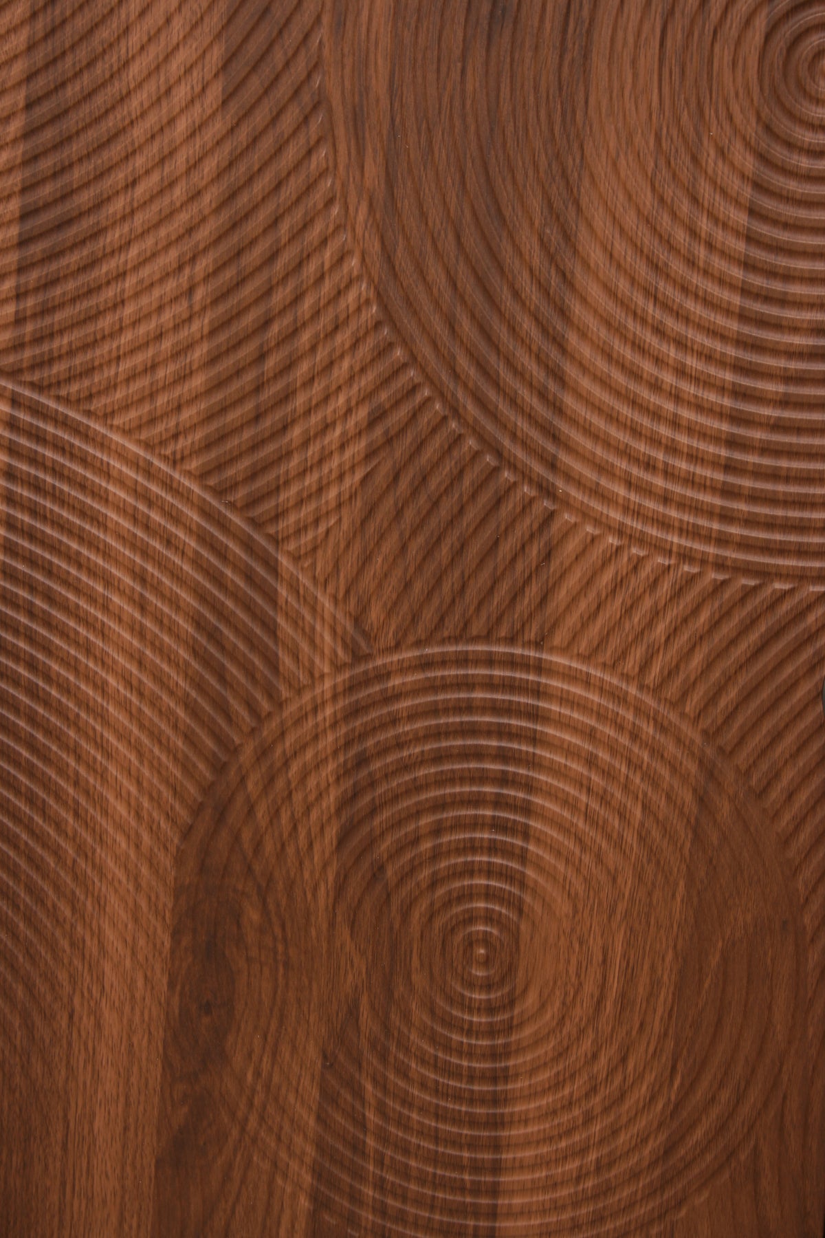Wabi Cot — circular woodgrain texture close-up